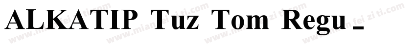 ALKATIP Tuz Tom Regu字体转换